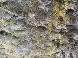 Natural beautiful textural sharp hard stone convex gray covered with dust and moss. Background, texture photo