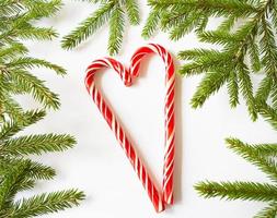 Natural frame of fresh green spruce branches on a white background, and a heart shaped candy cane in the center. Christmas, new year, Christmas tree, Valentine's day. Copy space photo