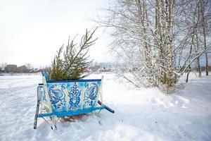 Live Christmas tree in a sleigh with a blue Gzhel painting on the snow. Winter holiday landscape, new year photo