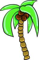 Palm tree, illustration, vector on white background