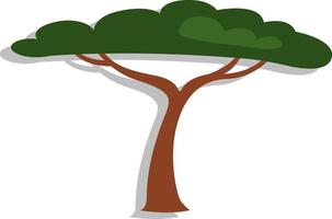 African tree, illustration, vector, on a white background. vector