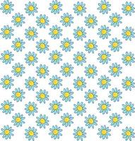 Daisy wallpaper, illustration, vector on white background.