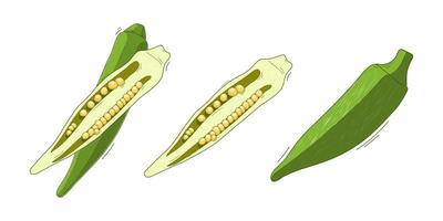 illustration, vegetable abelmos okra gombo on white background vector