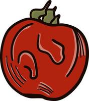 Tomato stylized line, illustration, vector on white background.