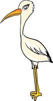 Stork standing, illustration, vector on white background.