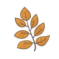 Hand drawn vector autumn leaf icon. Design for poster, textiles, clothing and website. Simple element