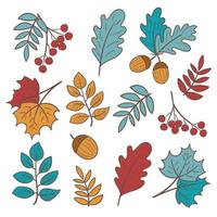 Set of colorful autumn leaves and berries. Isolated on white background. Simple cartoon style. Vector illustration. Hand drawn elements