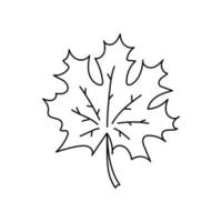 Forest maple leaf isolated. Vector illustration. Black and white. Coloring book - simple icon