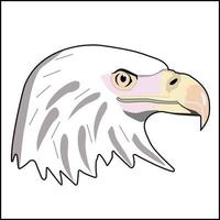 White Hawk Head vector