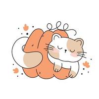 Draw funny  cat sleeping in a pumpkin kawaii cat with pumpkin for thanksgiving and autumn fall vector illustration cat character collection. Doodle cartoon style.