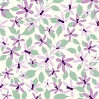 Chinaberry flower seamless pattern in white background vector