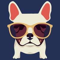 gráfico vectorial de ilustración de cabeza de bulldog francés fresco con gafas de sol aislado bueno para logotipo, icono, mascota, imprimir o personalizar su diseño vector