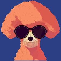 gráfico vectorial de ilustración de caniche con gafas de sol aislado bueno para icono, mascota, imprimir o personalizar su diseño vector