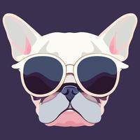 gráfico vectorial de ilustración de cabeza de bulldog francés fresco con gafas de sol aislado bueno para logotipo, icono, mascota, imprimir o personalizar su diseño vector