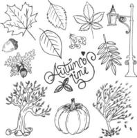 Autumn Hand Drawn Vector Illustration Objects Set