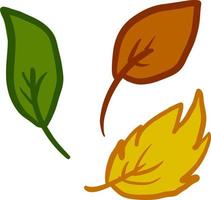 Leaf fall, illustration, vector on white background.