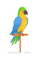 A beautiful colored parrot. Vector illustration of a talking bird on an isolated on white background. Drawn by hand.