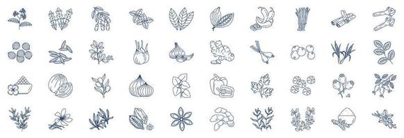 Collection of icons related to Herbs and Spices, including icons like Arugula, Barberry, Cloves, Cinnamon and more. vector illustrations, Pixel Perfect set