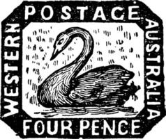 Western Australia Four Pence Stamp in 1854, vintage illustration. vector