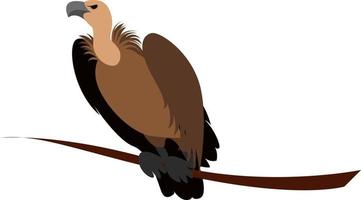 Vulture bird, illustration, vector on white background