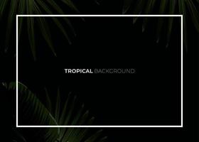 Dark tropical summer design with banana palm leaves, glowing frame and space for text. Vector flyer, banner or card template. Summer vector background.