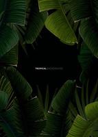 Dark tropical summer design with banana palm leaves, glowing frame and space for text. Vector flyer, banner or card template. Summer vector background.