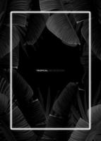 Dark monochrome tropical design with exotic banana leaves, soft neon frames and space for text. Vector summer template for poster, banner, card or flyer.