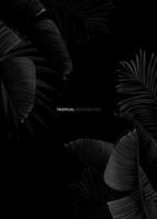 Dark monochrome tropical design with exotic banana leaves, soft neon frames and space for text. Vector summer template for poster, banner, card or flyer.