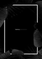 Dark monochrome tropical design with exotic banana leaves, soft neon frames and space for text. Vector summer template for poster, banner, card or flyer.