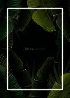 Dark tropical summer design with banana palm leaves, glowing frame and space for text. Vector flyer, banner or card template. Summer vector background.