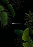 Dark tropical summer design with banana palm leaves, glowing frame and space for text. Vector flyer, banner or card template. Summer vector background.