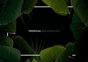 Dark tropical summer design with banana palm leaves, glowing frame and space for text. Vector flyer, banner or card template. Summer vector background.