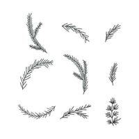 Pine tree branches set vector