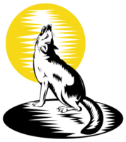 fuchs wilder hund heult png