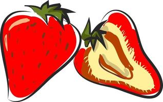 Sweet strawberry, vector or color illustration.