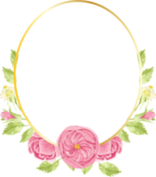 watercolor hand draw pink english rose flower bouquet wreath with geometric golden frame png