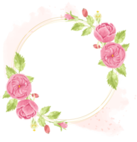 watercolor pink english rose wreath with round golden frame on pink splash png