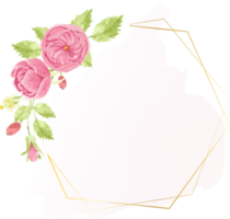 akvarell rosa engelsk ros med gyllene lyxiga fyrkantiga ram med kopia utrymme för text png