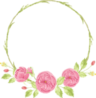 watercolor pink english rose wreath frame png