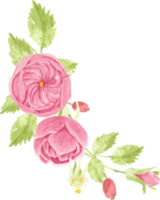 watercolor pink rose bouquet wreath frame for banner or logo png
