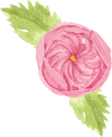 marco de corona de ramo de rosa rosa acuarela para banner o logotipo png