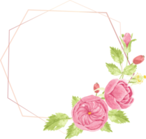 watercolor hand draw pink english rose wreath with geometric frame png