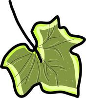 Green tree leaf, illustration, vector on white background.