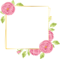 watercolor hand draw pink english rose flower bouquet wreath with geometric golden frame png