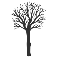 silhouette d'arbre nu dessiné à la main png