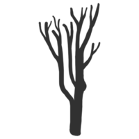 mano disegnato nudo albero silhouette png
