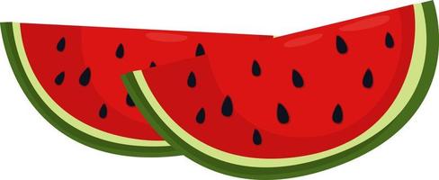 Watermelon pieces ,illustration, vector on white background