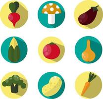 Fresh vegetables, illustration, vector, on a white background. vector