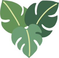 boho monstera leaf dibujo a mano alzada diseño plano. png