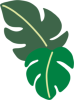 boho monstera leaf dibujo a mano alzada diseño plano. png